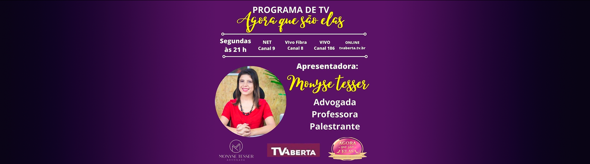 monyse tesser advocacia - 